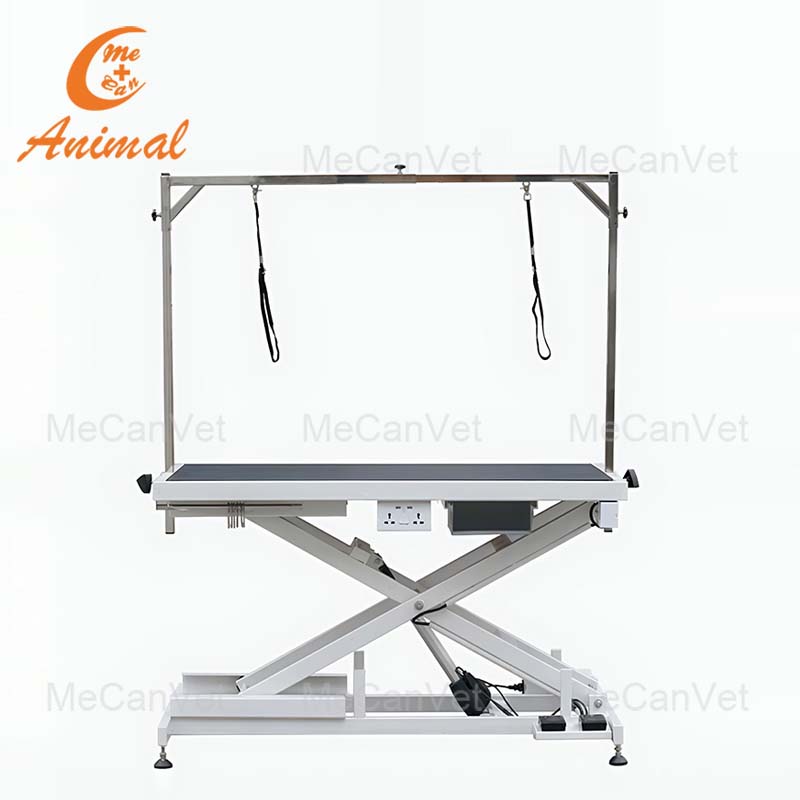 Electric Lift Dog Grooming Table